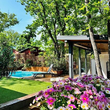 Pine-Wood Resort Balatonalmadi Luaran gambar